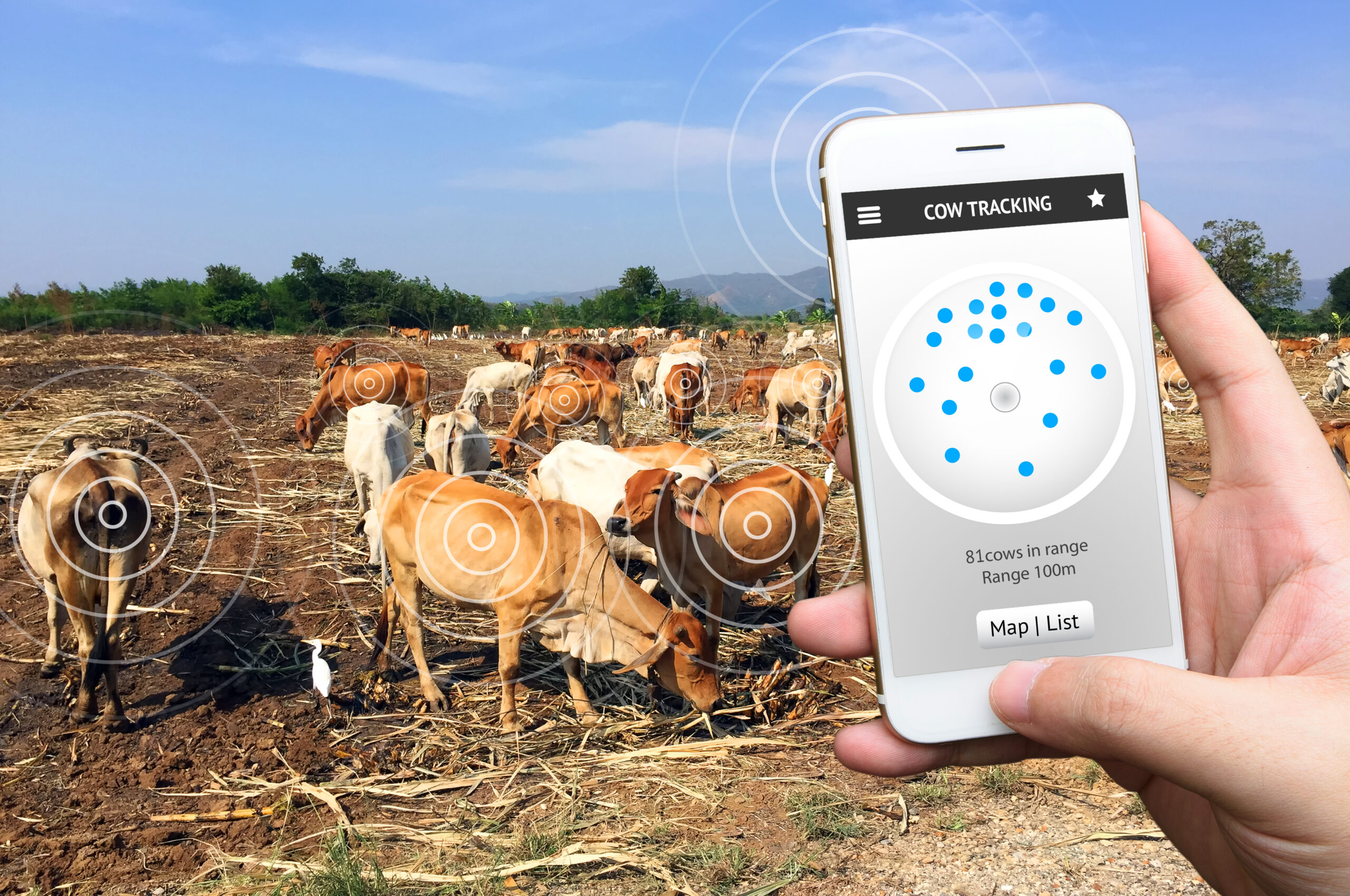 Animal,Tracking,Monitoring,In,Smartfarm,And,Internet,Of,Things,Concept.